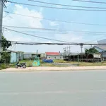 Bán lô đất 175m² đường nhựa Đức Hoà Đông, Hóc Môn - Ảnh thu nhỏ 2