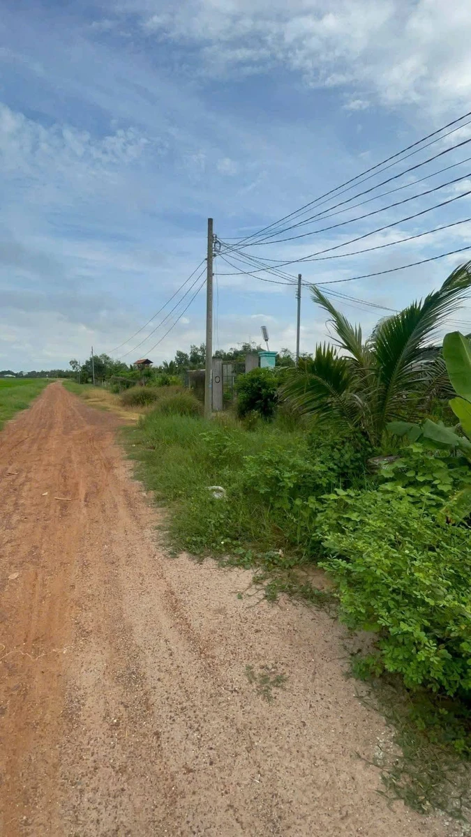 Bán đất Thạnh Bình Tây Ninh 50m² 90 triệu - Ảnh 1