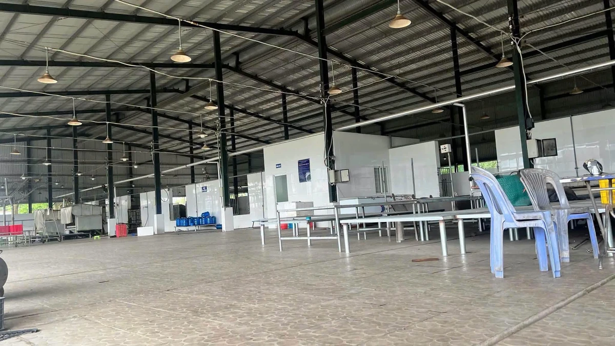 Cho thuê nhà xưởng 28.000m² lò mổ gia cầm Trảng Bom, Đồng Nai - Ảnh 1