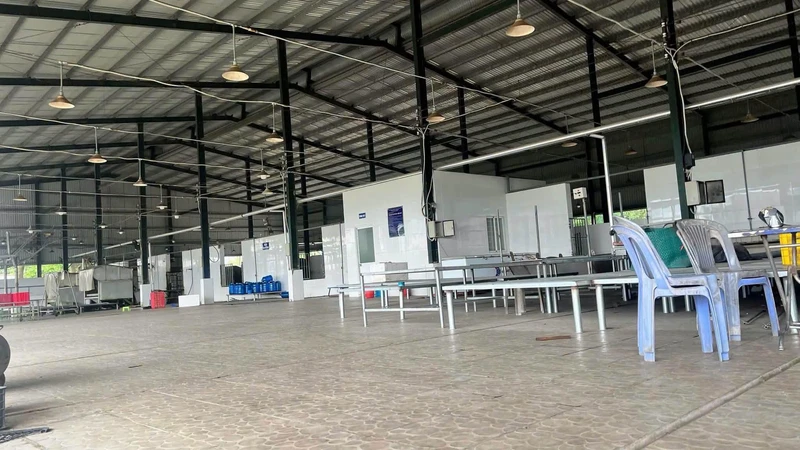 Cho thuê nhà xưởng 28.000m² lò mổ gia cầm Trảng Bom, Đồng Nai