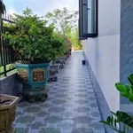 Bán nhà mái thái An Điền 150m² 2 phòng ngủ 2 tỷ 230 - Ảnh thu nhỏ 3