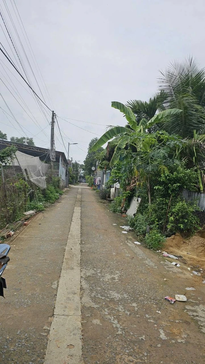 Bán 5 lô đất Tân Bình Trà Cổ 155m² giá 1 tỷ 1 - Ảnh thu nhỏ 2