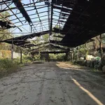 Cho thuê xưởng 1000m² Hố Nai, 14 triệu/tháng - Ảnh thu nhỏ 2