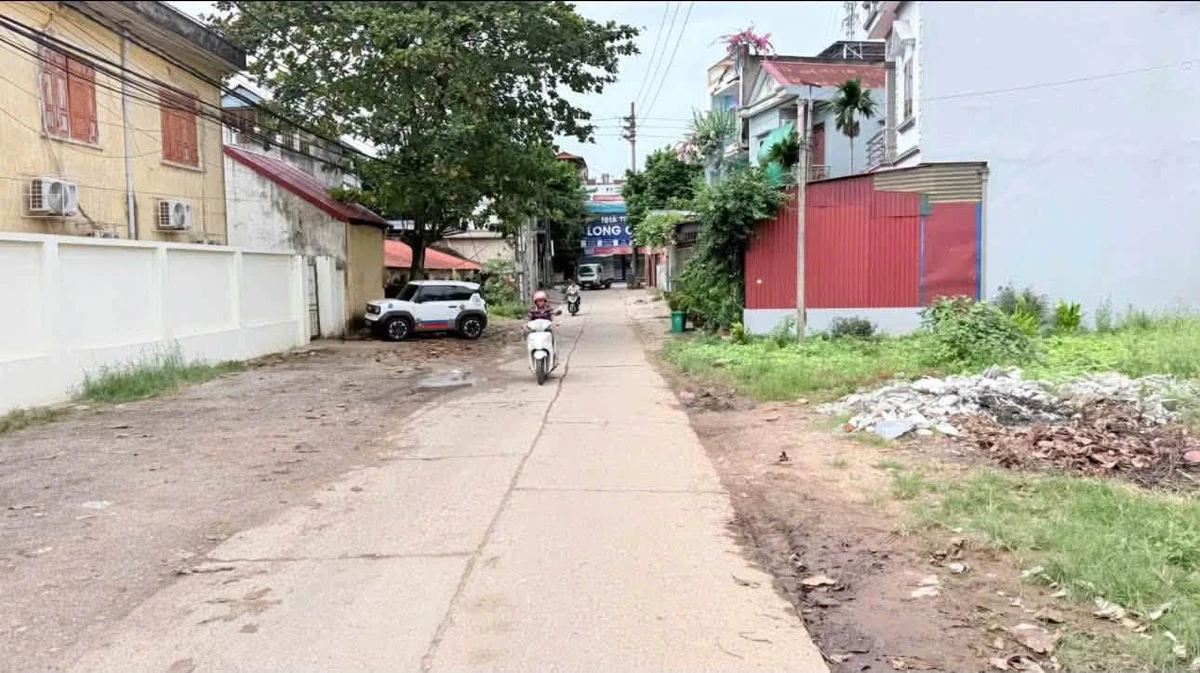 Bán lô đất gần 1.000m² Tích Lương, Bình Chánh, giá 2 tỷ - Ảnh thu nhỏ 5