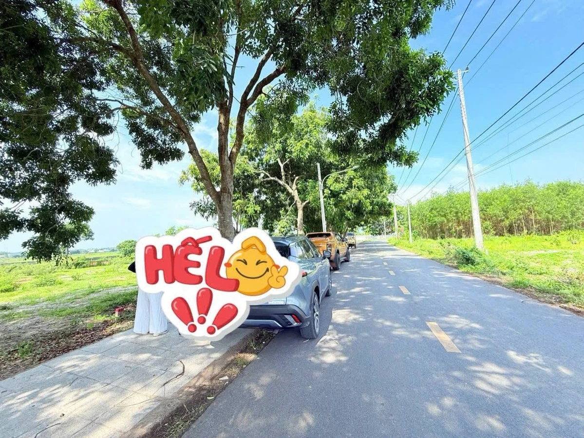 Bán đất mặt tiền Tôn Thất Thuyết Phước Hải 474m2 4 tỷ - Ảnh thu nhỏ 3