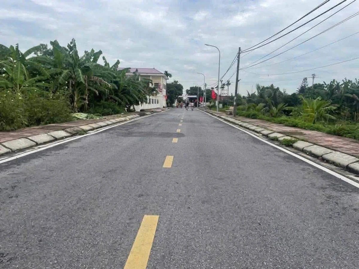 Bán đất 132,6m2 mặt đường HL 407 Kiến Thuỵ, Hải Phòng - Ảnh thu nhỏ 3