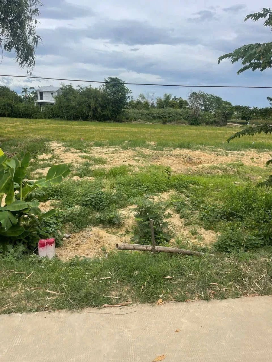 Bán đất nền 114m2 Tiên Nộn Dương Nỗ Huế - Ảnh thu nhỏ 3
