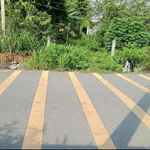 Bán đất thổ cư 7x44 đường nhựa 6m giá 2 tỷ gần chợ Thùng Thơ, Phường Phú An - Ảnh thu nhỏ 4