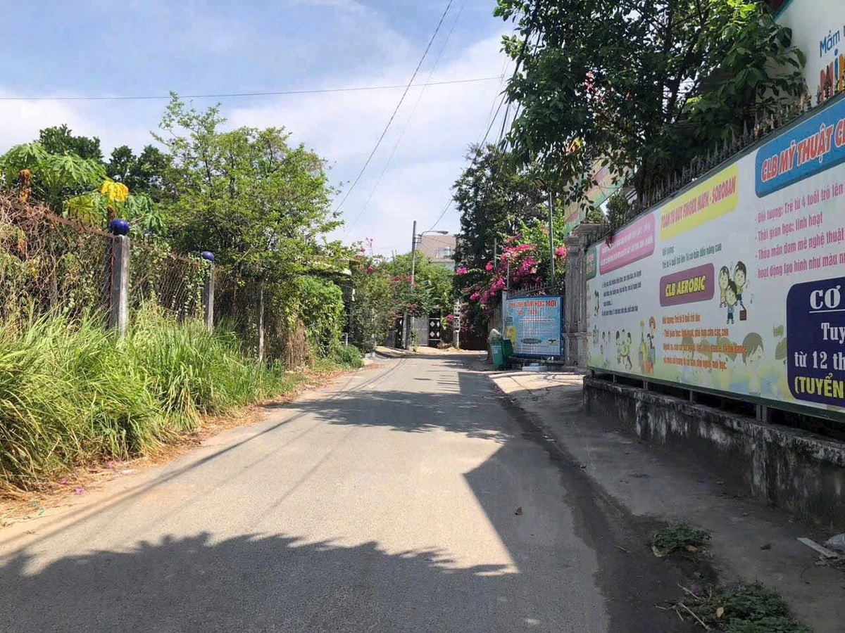 Bán đất 230m² mặt tiền ĐX90 Phường Phú An, Bình Chánh - Ảnh thu nhỏ 5