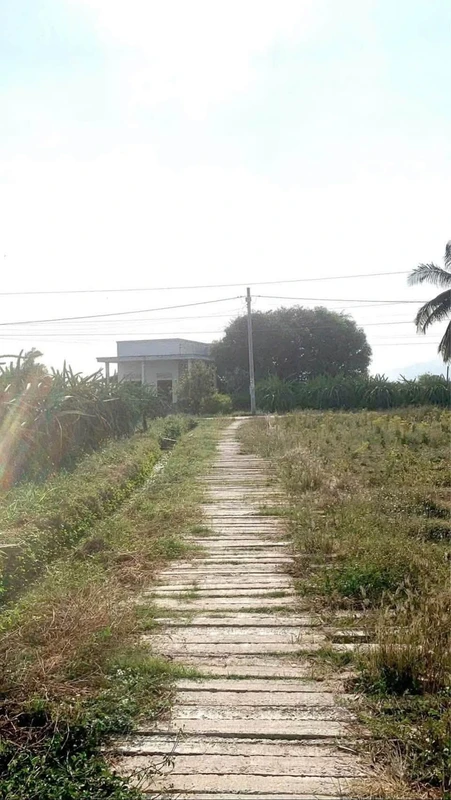 Bán nhà 300m thổ cư Hàm Chính 550 triệu