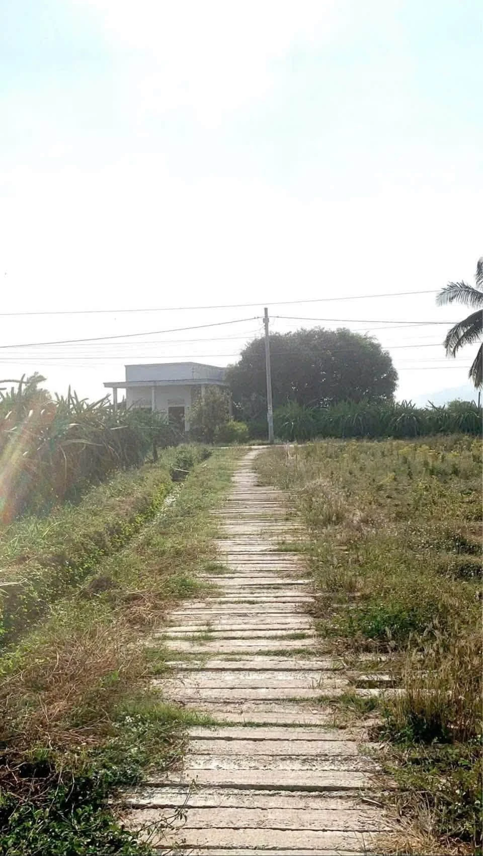 Bán nhà 300m thổ cư Hàm Chính 550 triệu - Ảnh 1