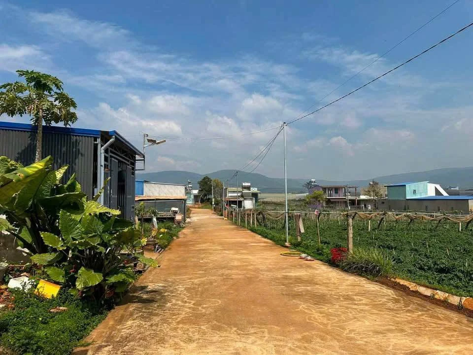 Bán lô đất 571m2 nở hậu, sổ hồng riêng, giá 850 triệu tại xã Quảng Lập, Lâm Đồng - Ảnh thu nhỏ 2