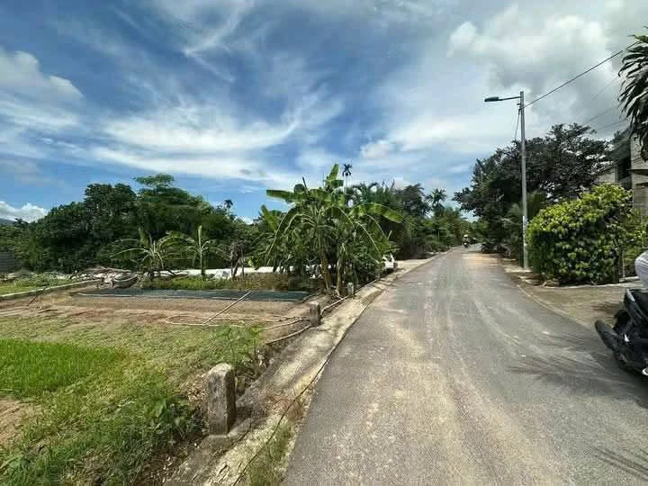Bán đất nền 61m² Thanh Minh 2 Diên Lạc 499 triệu - Ảnh thu nhỏ 2