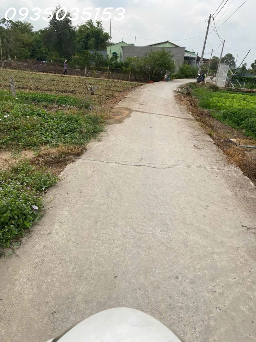 Cần tiền bán gấp lô đất thổ cư 80m2 tại Ấp Lộc Hậu, Mỹ Lộc, Tây Ninh, giá 580 triệu - Ảnh thu nhỏ 2