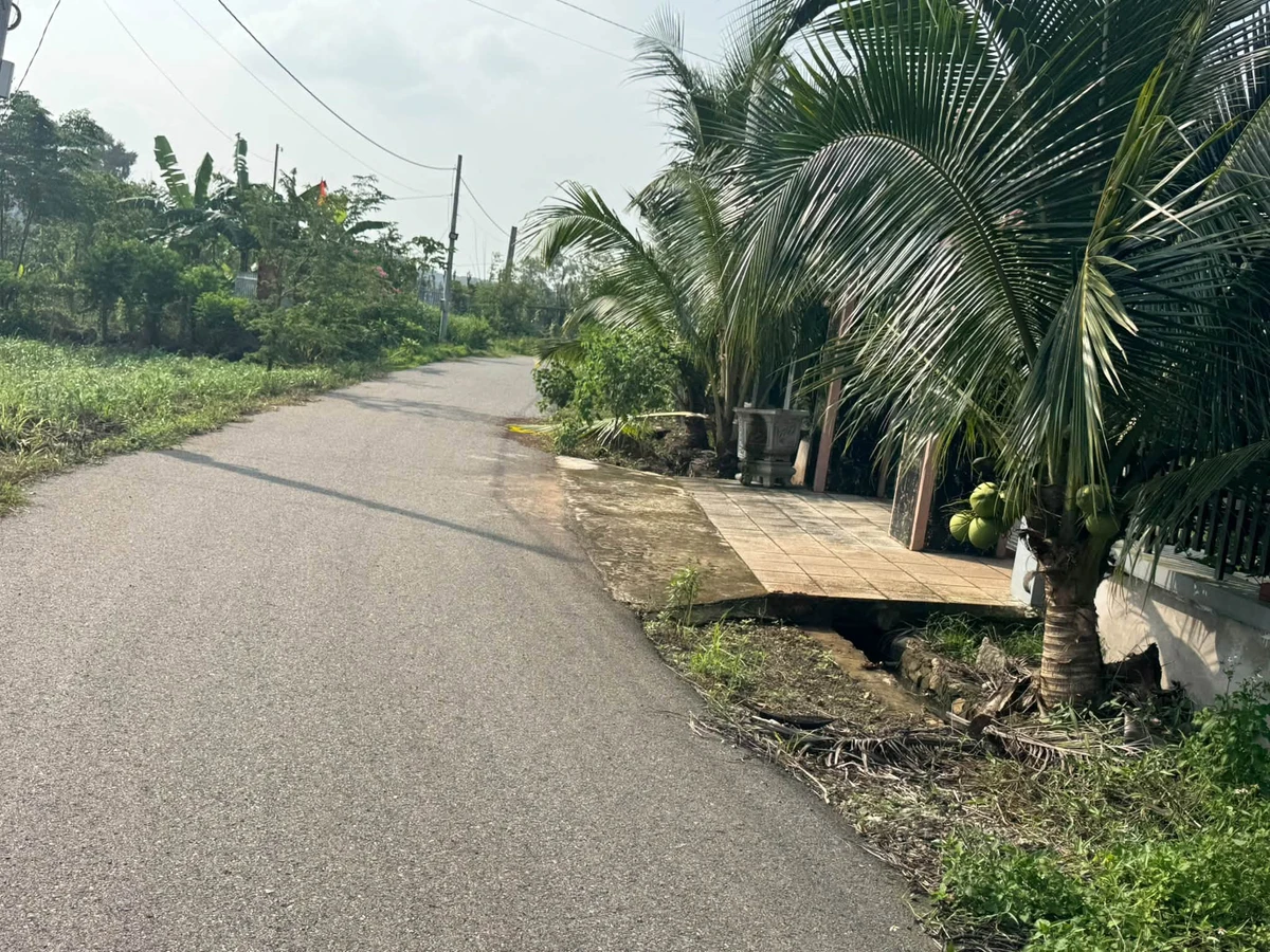 Bán đất 1200m2 mặt tiền 15m Đá Bạc Nhà Bè - Ảnh thu nhỏ 2