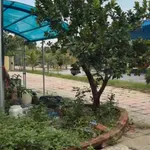 Bán đất thương mại dịch vụ, diện tích 9662m2, Tân Hạnh, Biên Hòa, ĐN - Ảnh thu nhỏ 6