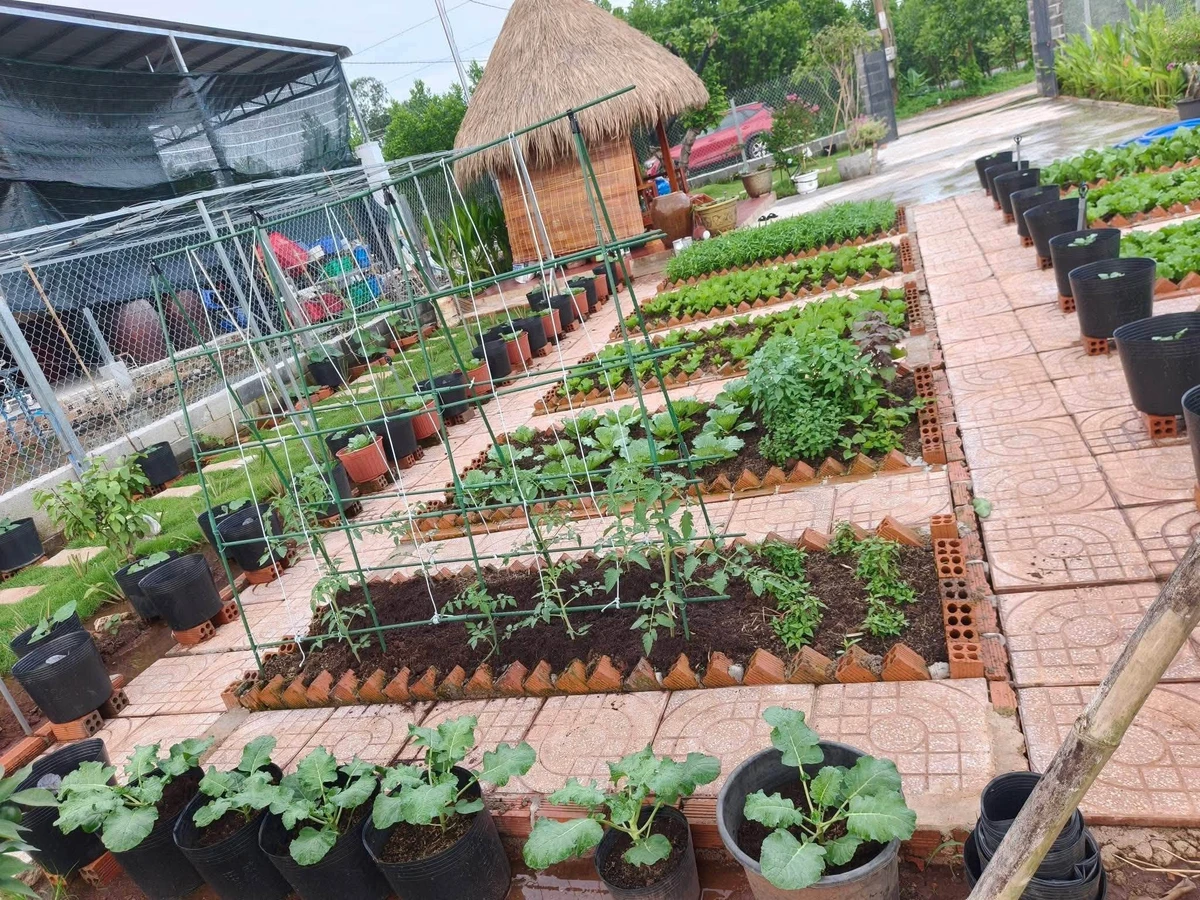 Bán đất mặt tiền 350m² Long Tân, Nhà Bè - 1,75 tỷ - Ảnh thu nhỏ 3