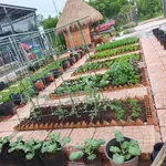 Bán đất mặt tiền 350m² Long Tân, Nhà Bè - 1,75 tỷ - Ảnh thu nhỏ 3