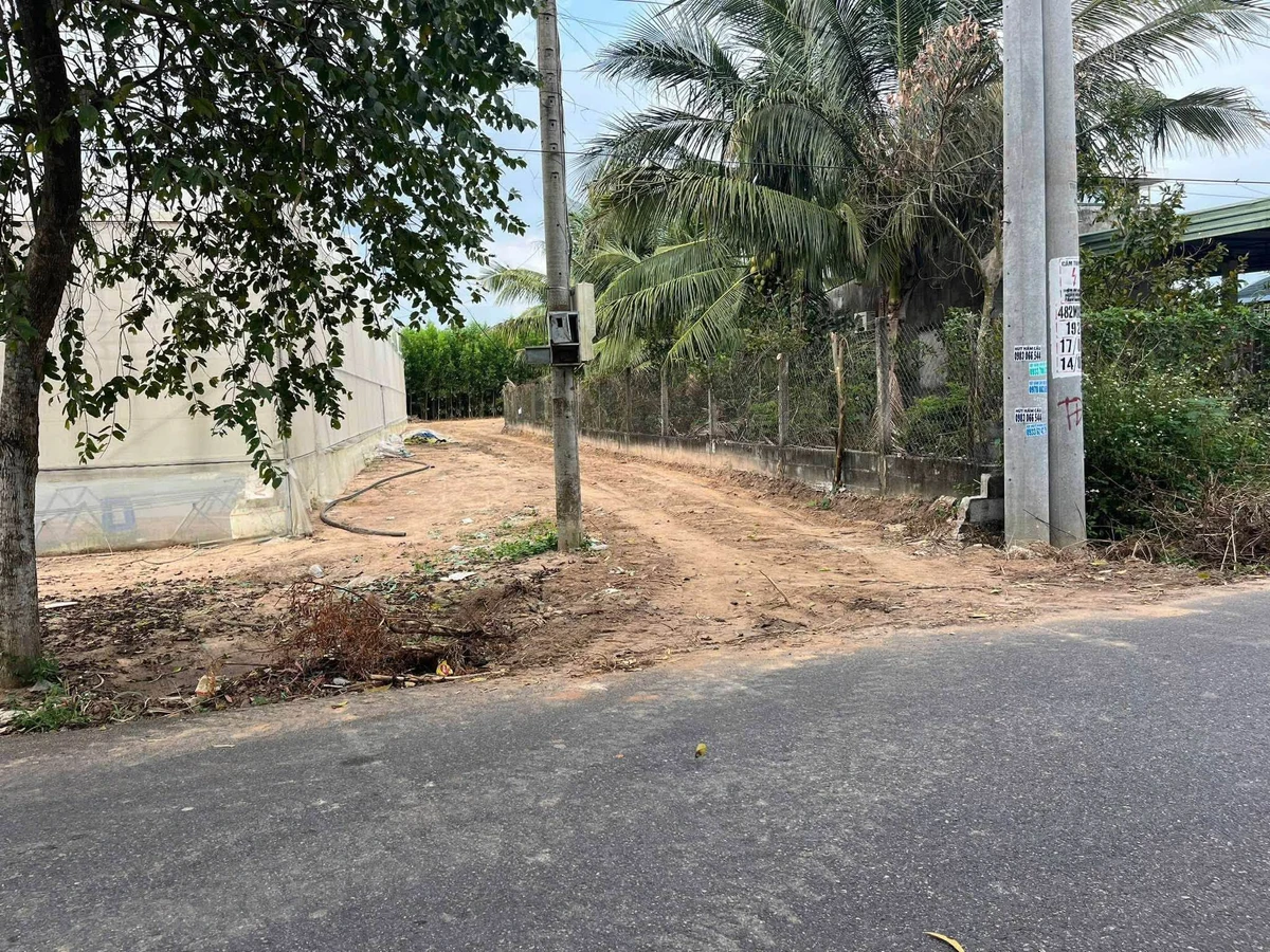 Bán đất 3.300m2 trung tâm phường Hắc Dịch, Phú Mỹ, giá 5 tỷ - Ảnh thu nhỏ 2