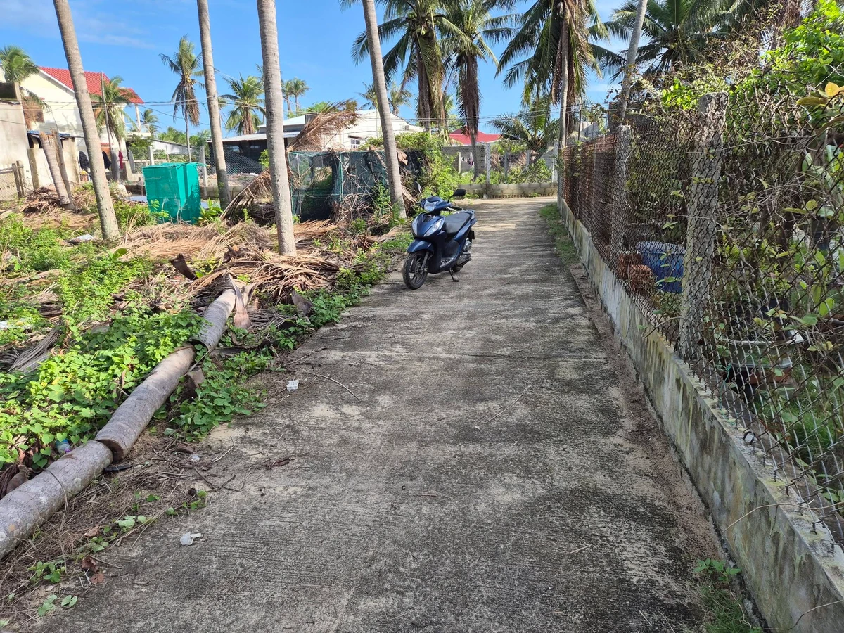 Bán đất 504m² full thổ cư ngang 19,4m Hòa Lợi Phú Yên - Ảnh thu nhỏ 3
