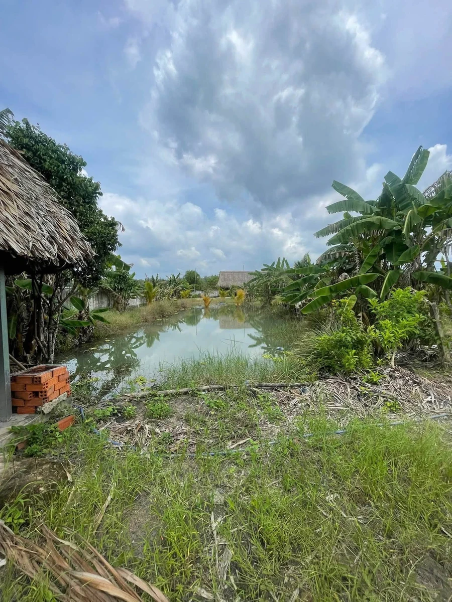 Bán đất nhà vườn Chơn Thành 2000 m² - Ảnh 1
