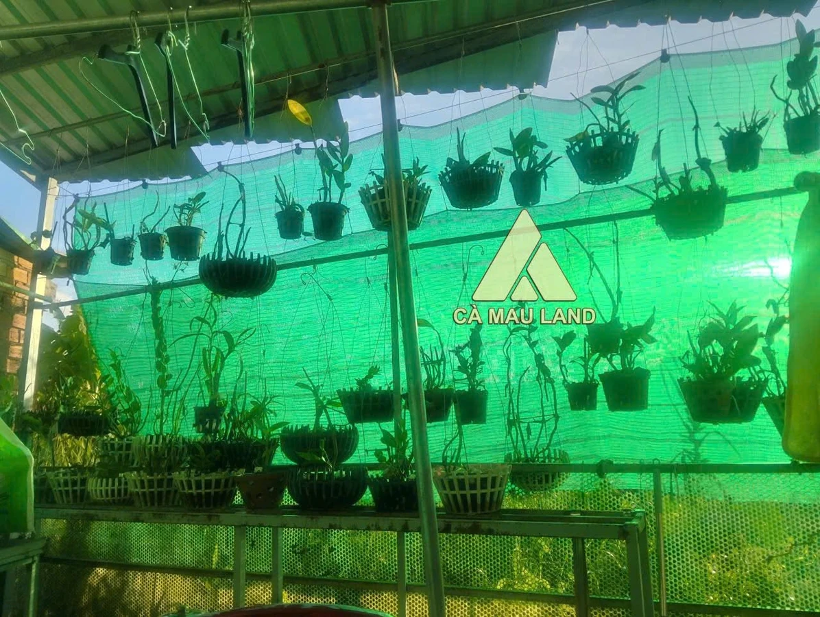 Bán nhà 2PN 75m² gần Nguyễn Trãi Phường 9 - 620 triệu - Ảnh thu nhỏ 5