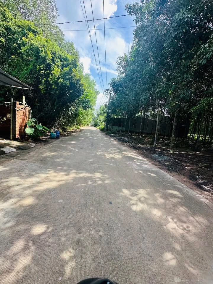 Bán đất Bình Mỹ 23x50m, 1150m² - 350 triệu - Ảnh thu nhỏ 2