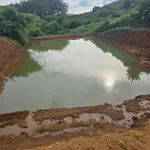 Bán đất 5ha trồng cà phê và sầu riêng Lâm Đồng 9,5 tỷ - Ảnh thu nhỏ 3