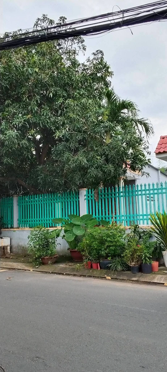 Bán đất sổ hồng mặt tiền 600m² Nhà Bè - Ảnh thu nhỏ 4