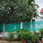 Bán đất sổ hồng mặt tiền 600m² Nhà Bè - Ảnh thu nhỏ 4