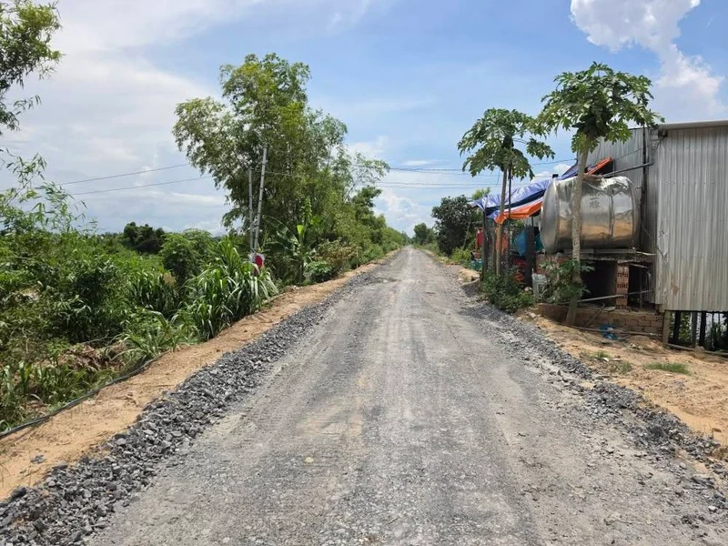Bán đất nền và ruộng mặt tiền 8m x 135m gần chợ Phú Hiệp, Tam Nông, Đồng Tháp