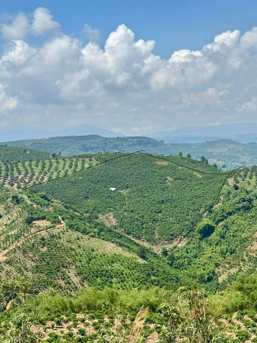 Bán đất nông nghiệp 36000m² giá 8 tỷ 500 tại Lâm Hà - Ảnh 1