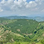 Bán đất nông nghiệp 36000m² giá 8 tỷ 500 tại Lâm Hà - Ảnh thu nhỏ 1