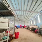 Cho thuê nhà xưởng 4800m2 Gia Kiệm, Đồng Nai 60 triệu/tháng - Ảnh thu nhỏ 2