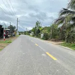 Bán lô đất Diên Tân 203m², full thổ cư 195 triệu - Ảnh thu nhỏ 1