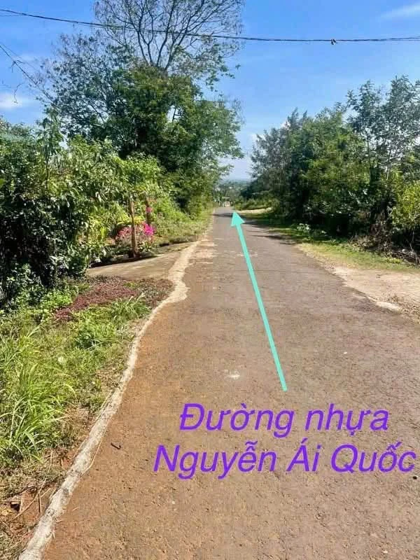 Bán lô đất Nguyễn Ái Quốc Lâm Đồng 360m2, 510 triệu - Ảnh 1