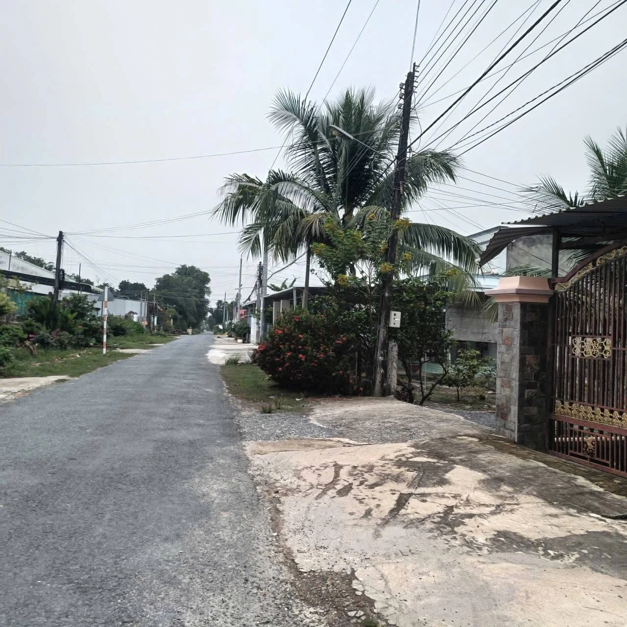Bán đất 70m² tại Trường Hòa, Tây Ninh 250 triệu - Ảnh 1
