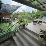 Bán đất view 2386m2 Bình Minh Đồng Nai, 6 tỷ - Ảnh thu nhỏ 1
