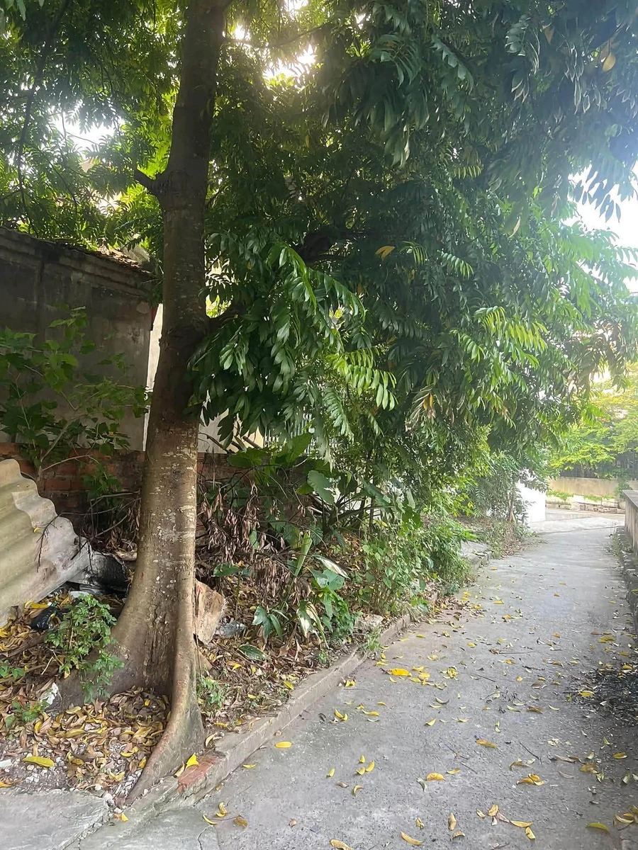 Bán đất Lương Thế Vinh 68m² 1 tỷ 350 triệu - Ảnh 1