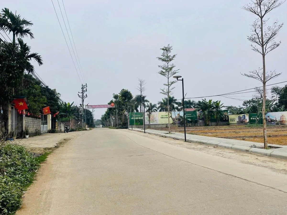Bán đất kinh doanh 110m² mặt tiền 5m Chương Mỹ Hà Nội - Ảnh thu nhỏ 3
