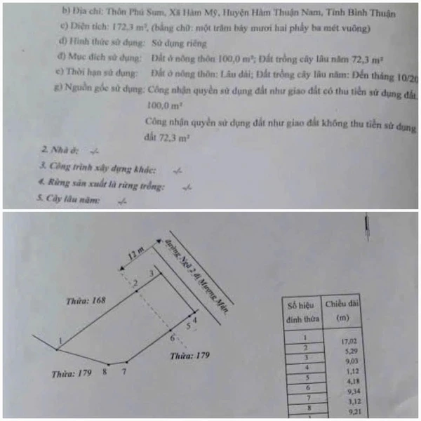 Bán đất 172m² kèm nhà kho mặt tiền Lâm Đồng