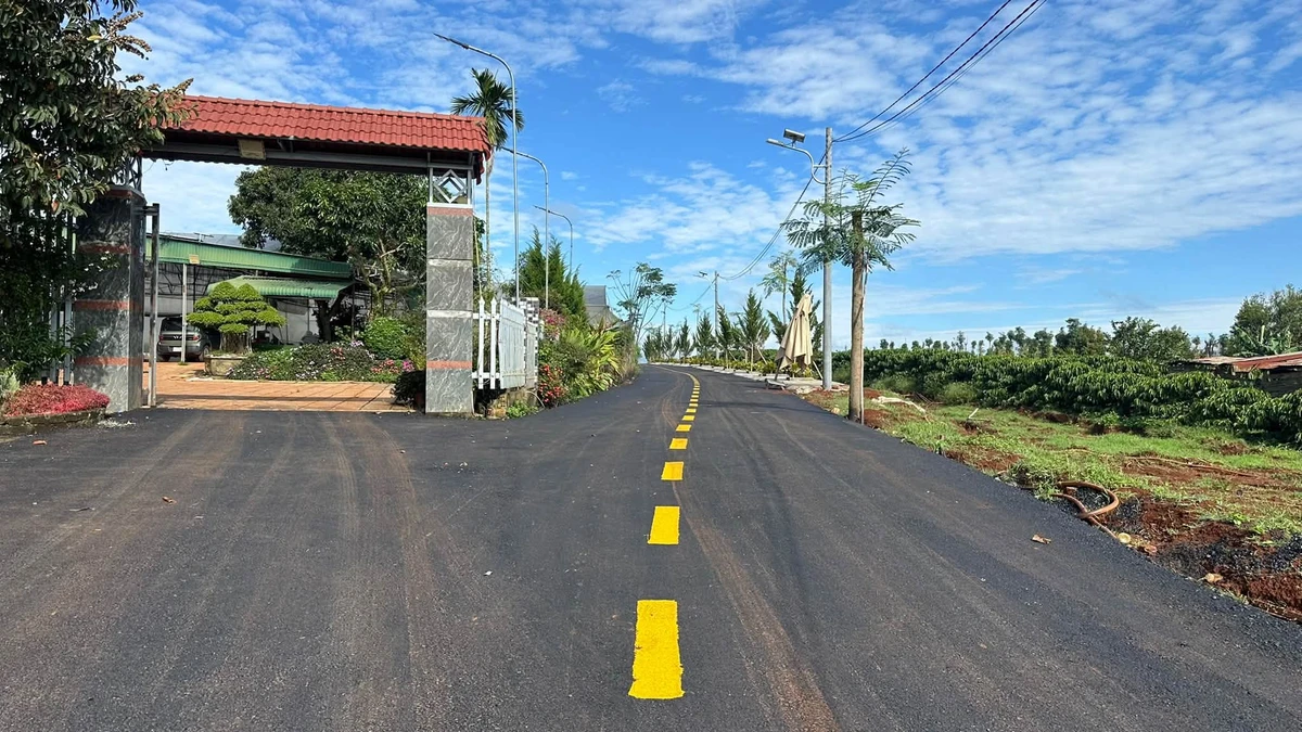 Bán lô đất 10x25m 250m² giá 650 triệu gần Huỳnh Thúc Kháng - Ảnh thu nhỏ 2