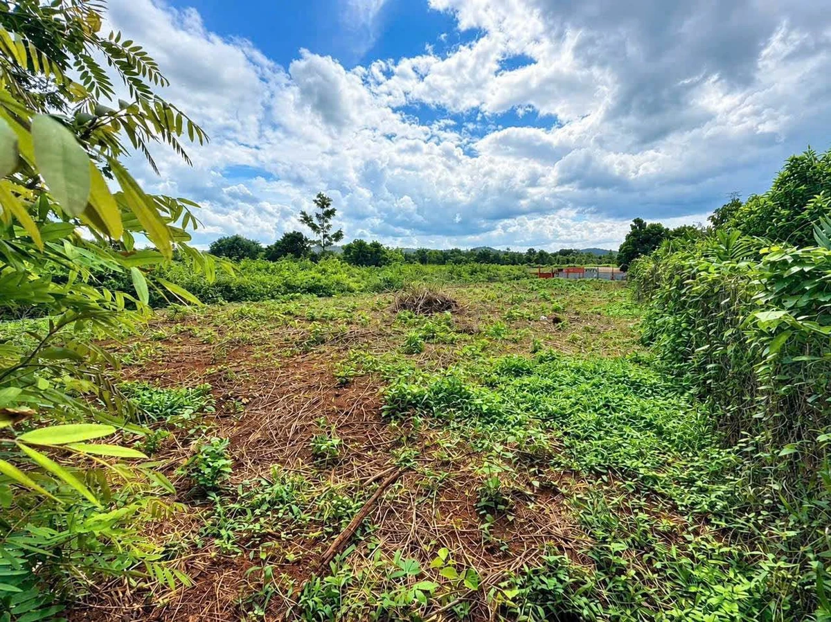 Bán đất nông nghiệp gần 700m2 cạnh hồ Buôn Bông, Phường Ea Kao, giá 599 triệu - Ảnh 1