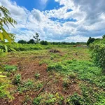 Bán đất nông nghiệp gần 700m2 cạnh hồ Buôn Bông, Phường Ea Kao, giá 599 triệu - Ảnh thu nhỏ 1