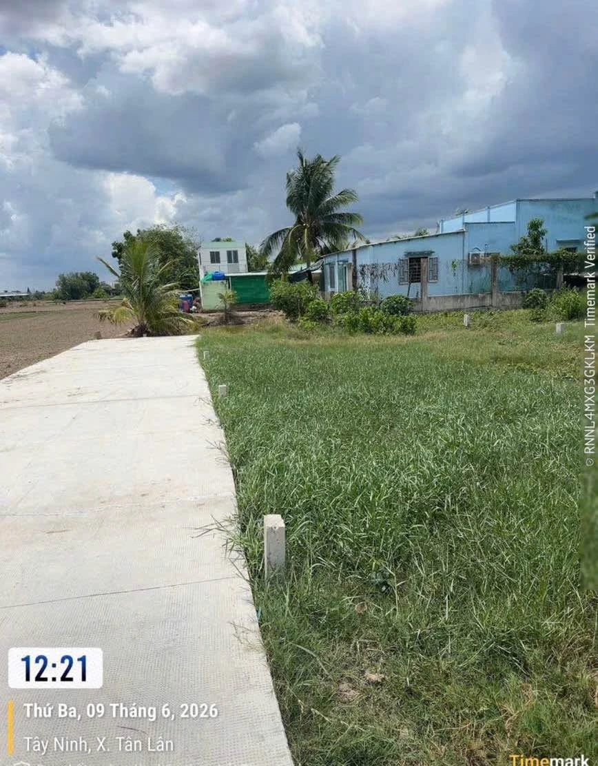 Bán đất 100m² thổ cư Phước Đông Cần Đước 320 triệu - Ảnh 1
