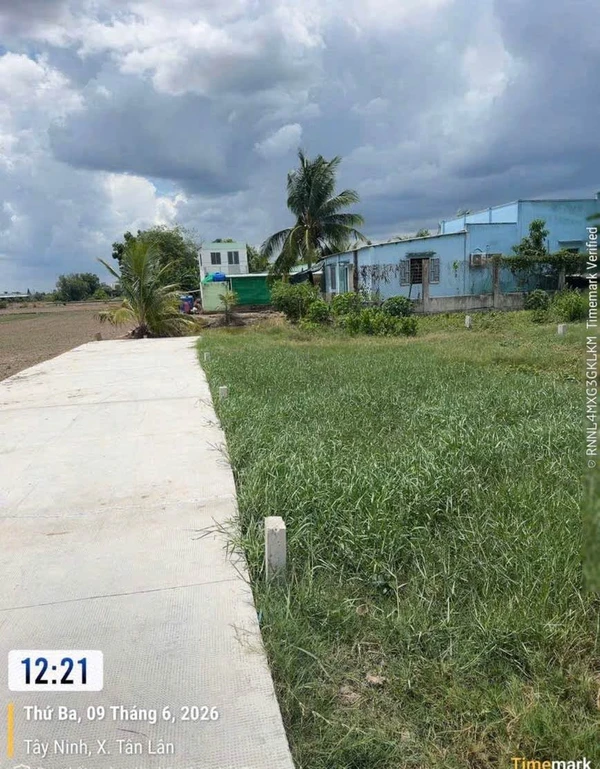 Bán đất 100m² thổ cư Phước Đông Cần Đước 320 triệu