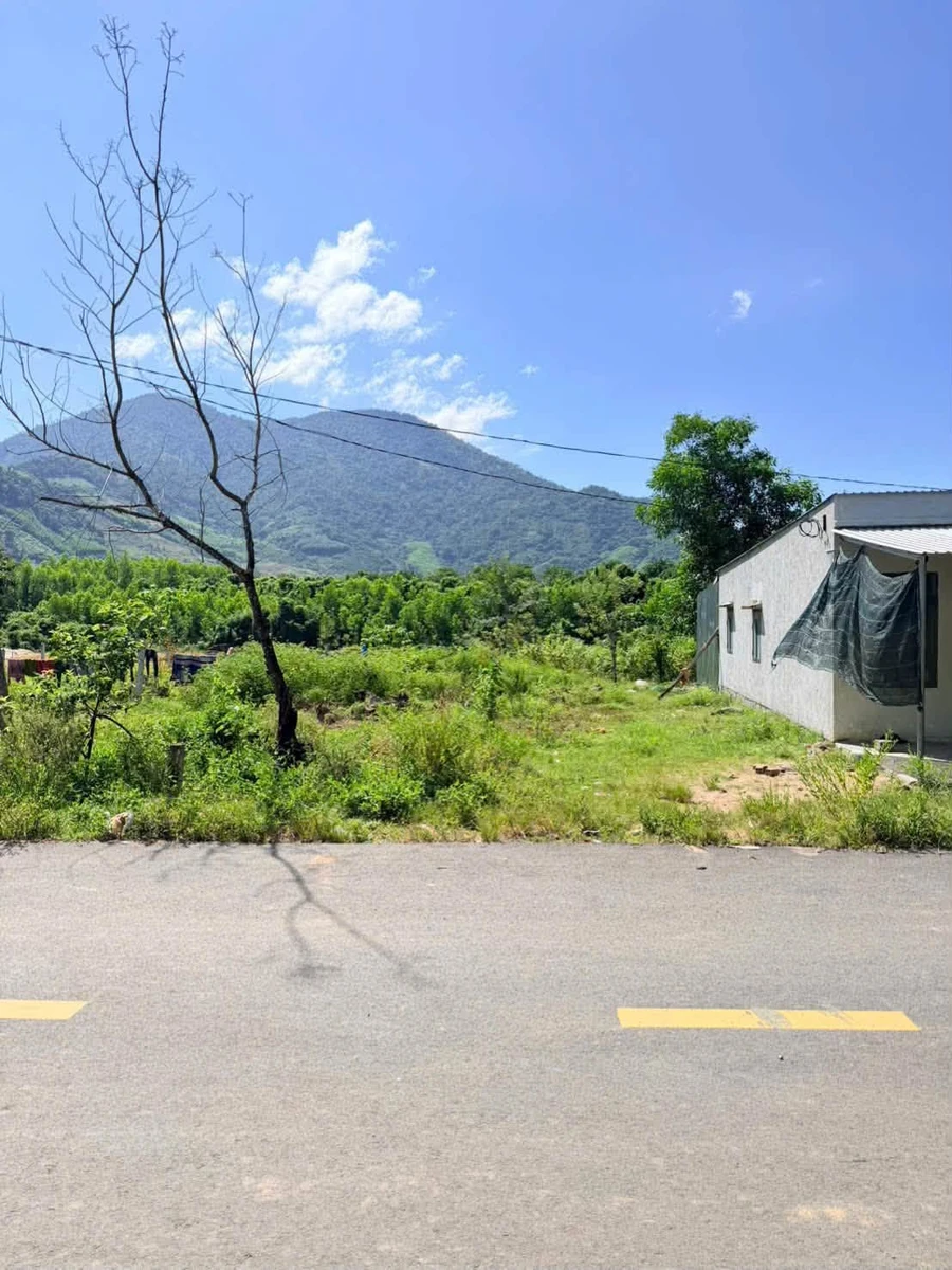 Bán đất Khánh Đông 934m2 giá 699 triệu - Ảnh thu nhỏ 4