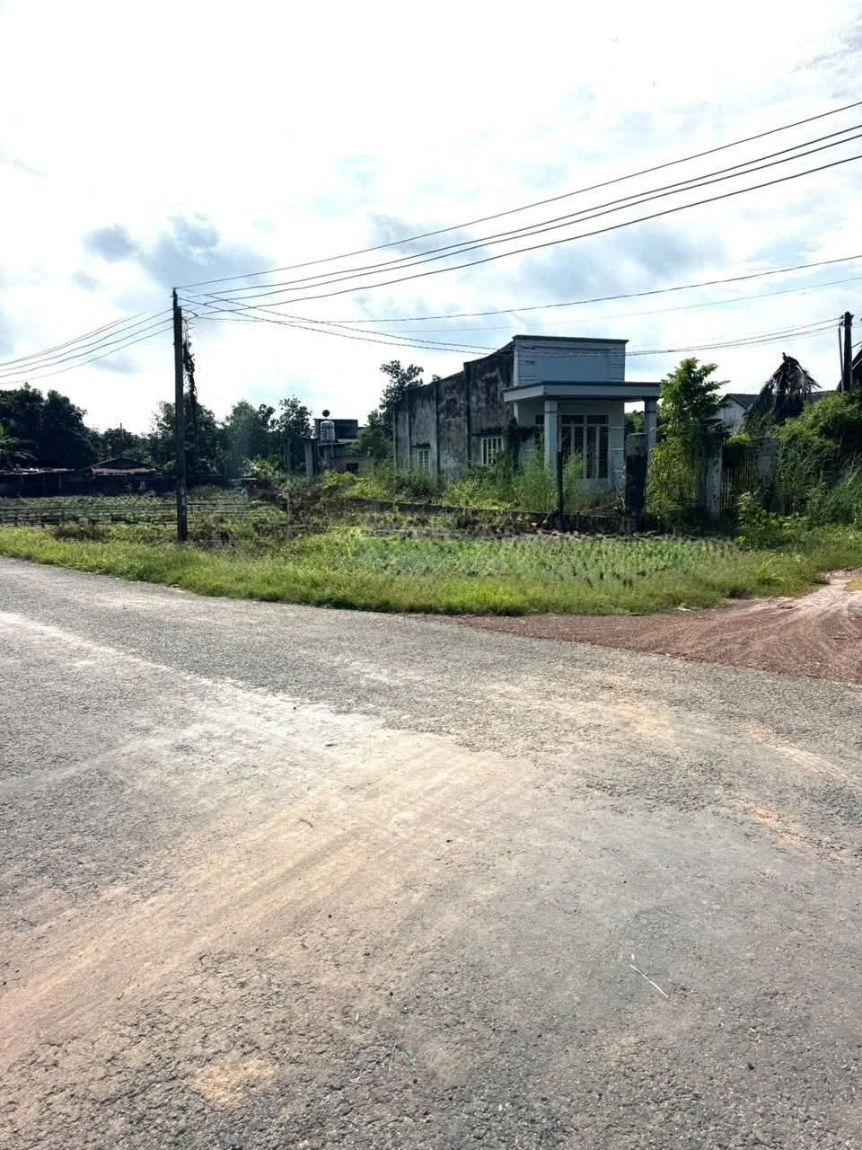 Bán đất xây nhà gần chợ Long Hoa Tây Ninh - Ảnh 1