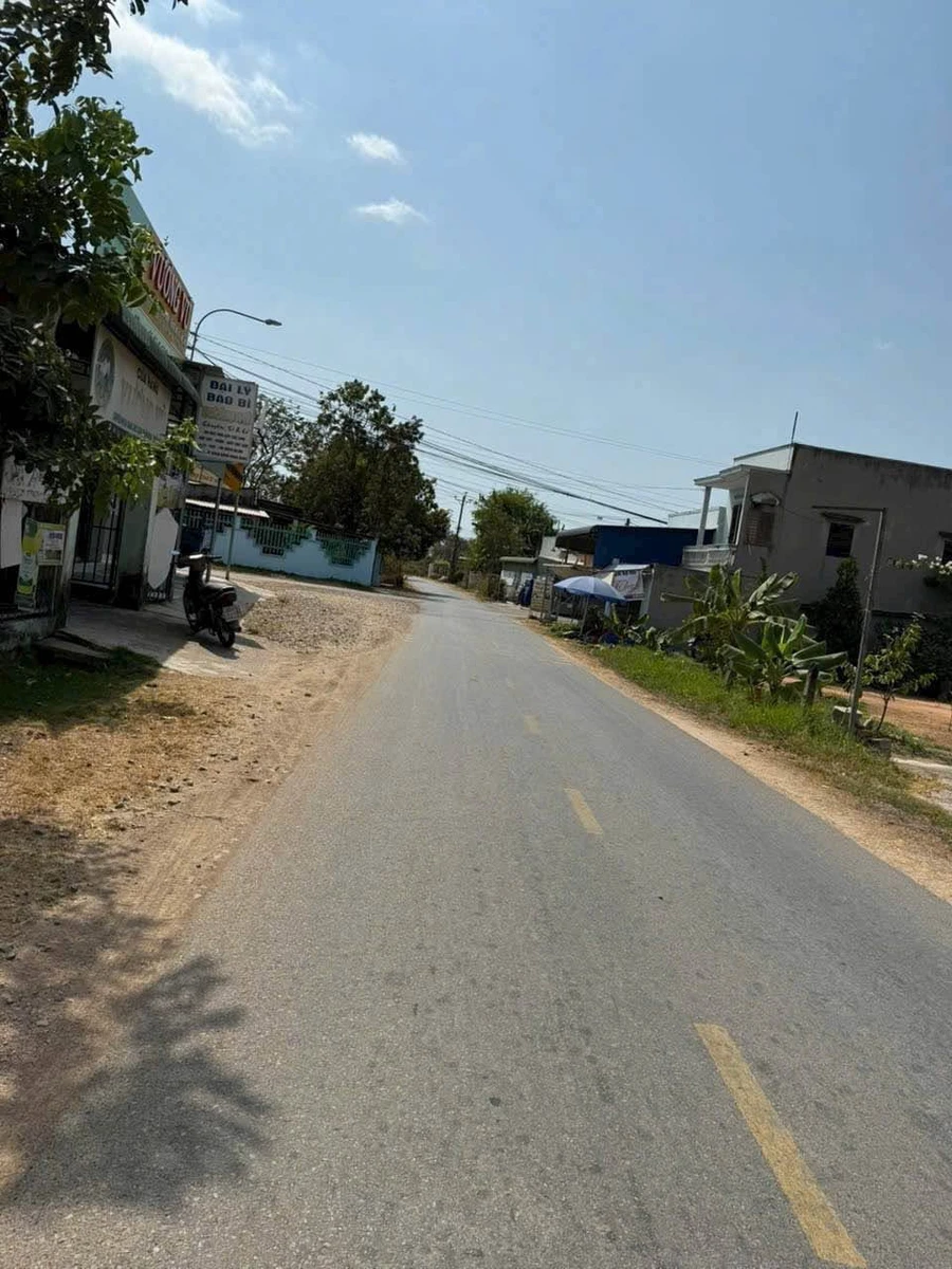 Bán đất 900m² mặt tiền Hàm Liêm, Phan Thiết, 1tỷ950tr - Ảnh thu nhỏ 4