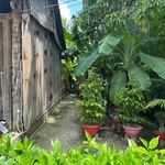 Bán đất 170m² thổ cư phường Phú Khương 450 triệu - Ảnh thu nhỏ 1